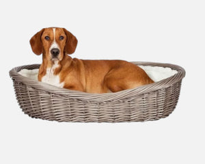Collection image for: Bedden, manden en kussens voor honden