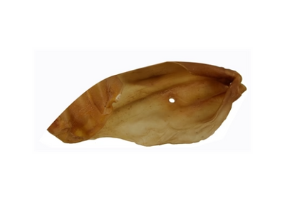 Dierenoren