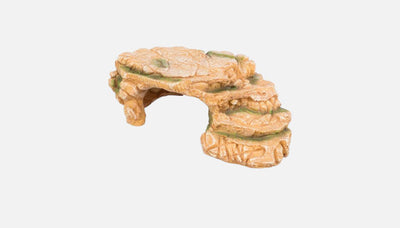 Decoratie reptiel