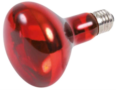 Trixie Reptiland Warmtelamp Infrarood 100 WATT 8X8X10,8 CM 3 ST
