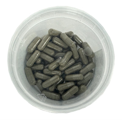 Dierendrogist Prostaat Vitaal Capsules 60 ST