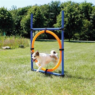 Trixie Dog Activity Agility Ring Blauw / Oranje 65X3X115 CM - Pet4you