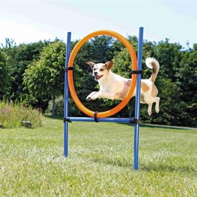 Trixie Dog Activity Agility Ring Blauw / Oranje 65X3X115 CM - Pet4you