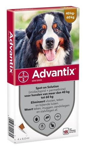 Bayer Advantix Spot On 600/3000 40+ KG - 4 PIP - Pet4you