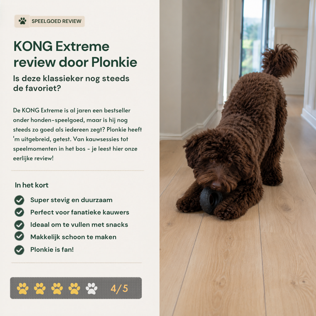 KONG Extreme review door Plonkie