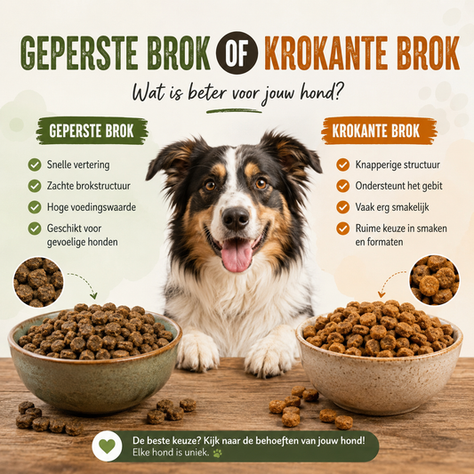 Geperste brok of krokante brok: wat is de beste keuze voor jouw hond?