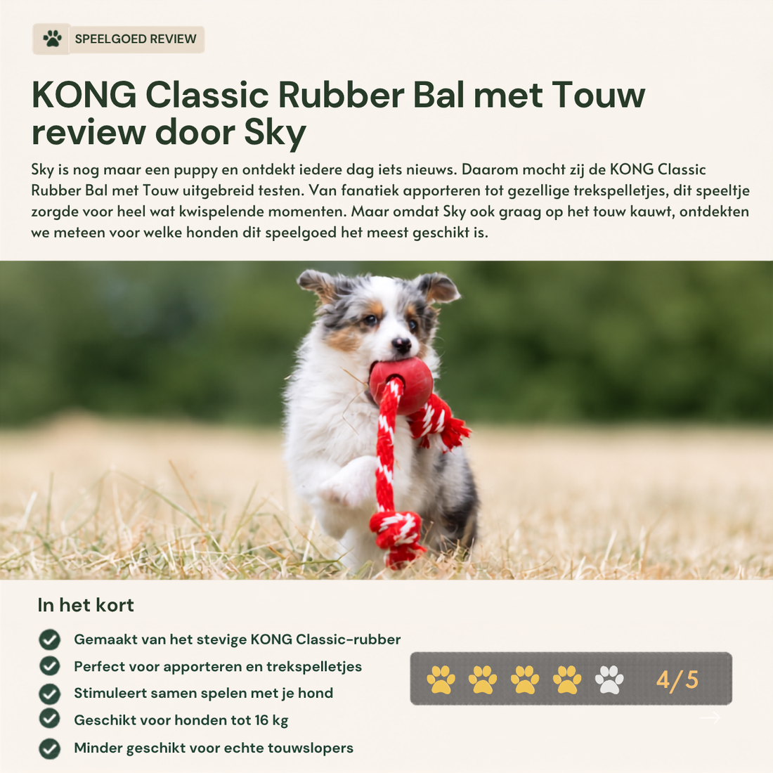 KONG Classic Rubber Bal met Touw review door Sky
