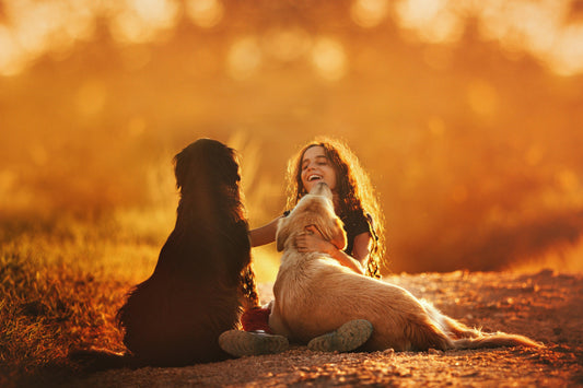Huisdieren en kinderen - Pet4you