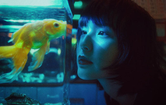 Wat heb ik nodig voor mijn aquarium? | Huidierspullen.nl