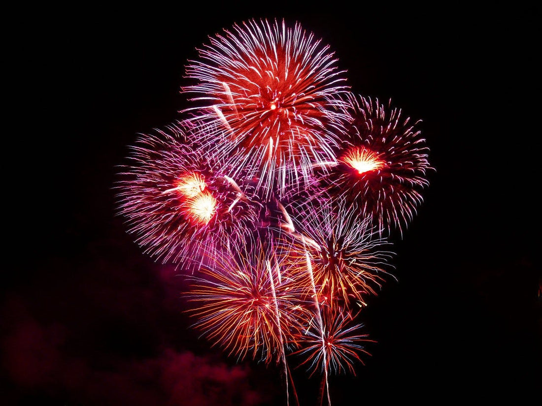 Huisdieren en Vuurwerk: Hoe je je harige vrienden veilig kunt houden tijdens de feestdagen