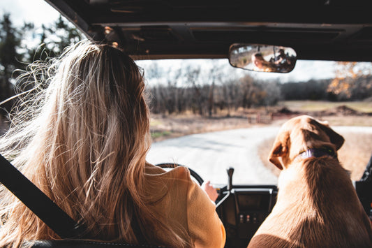 Vakantie/Reizen - Pet4you