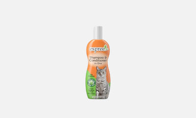 Shampoo