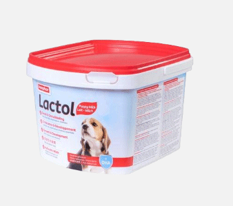 Puppy gezondheid