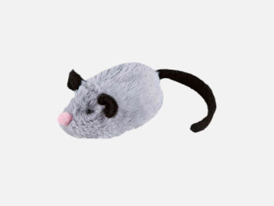 Muizen