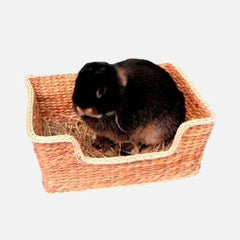 Collection image for: Bedden/manden/kussens knaagdier