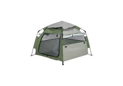 Tent & kamperen