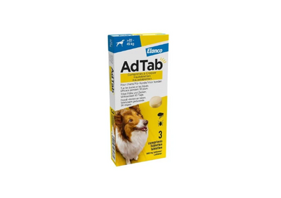 Tabletten