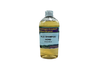 Shampoo