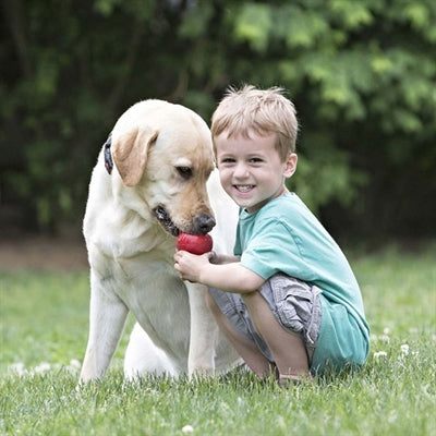 KONG CLASSIC ROOD