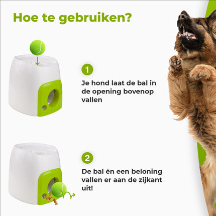 Afp Interactive Fetch 'N Treat