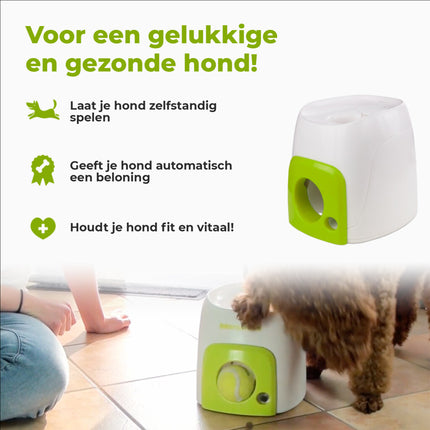 Afp Interactive Fetch 'N Treat