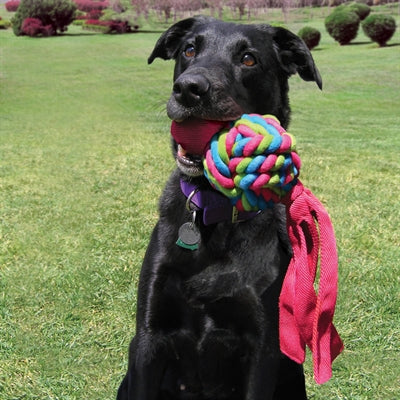 KONG WUBBA WEAVES ASSORTI