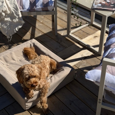 Bia Bed Outdoor Hoes Hondenmand Taupe Bia-3 70X60X15 Cm