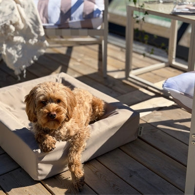 Bia Bed Outdoor Hoes Hondenmand Taupe Bia-3 70X60X15 Cm