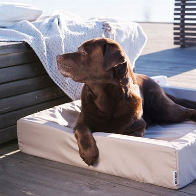 Bia Bed Outdoor Hoes Hondenmand Taupe Bia-6 100X80X15 Cm