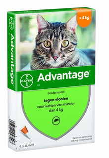 Bayer Advantage Kat 40 TOT 4 KG 4 PIP