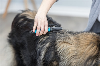 Trixie Vacht Ontvilter Gebogen Tanden 18 CM