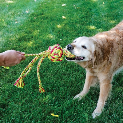 KONG WUBBA WEAVES TOUW ASSORTI