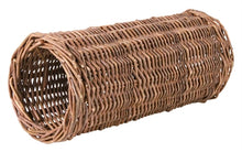 Trixie Wilgentunnel Cavia