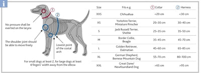 Trixie Halsband Hond Premium Grafiet Grijs 30-45X1,5 CM