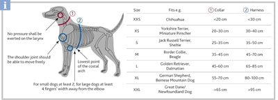 Trixie Halsband Hond Premium Grafiet Grijs