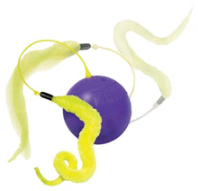 KONG PURRSUIT WHIRLWIND