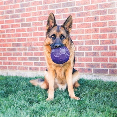 KONG FLEXBALL PAARS
