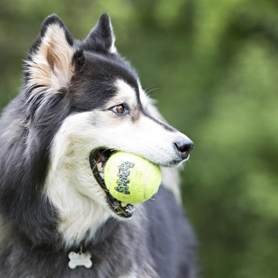 KONG SQUEAKAIR TENNISBAL GEEL MET PIEP