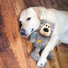 KONG WILD KNOTS BEAR ASSORTI
