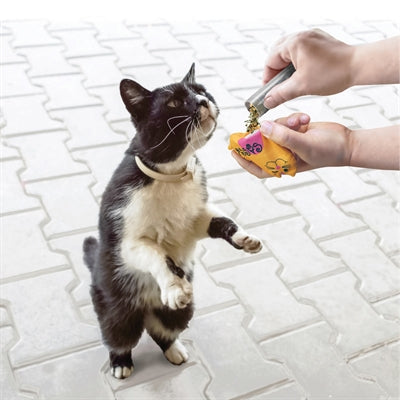 KONG REFILLABLES CATNIP KATTENKRUID BUISJES