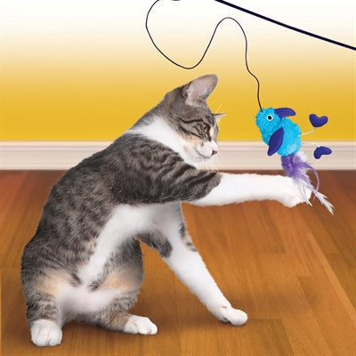 KONG CAT TEASER FEATHER ASSORTI