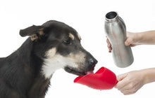 KONG H2O DRINKFLES RVS ZWART