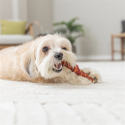 Trixie Denta Fun Filled Chicken Chewing Roll
