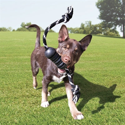 KONG EXTREME DENTAL MET TOUW ZWART / WIT