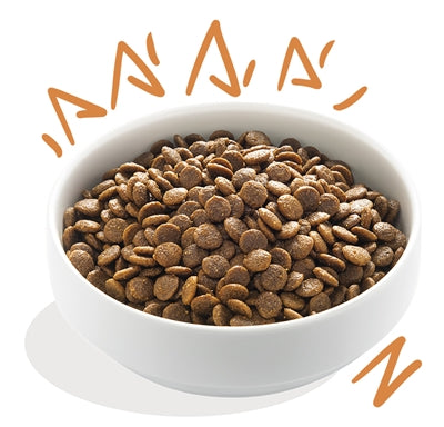 EDGARD & COOPER ADULT VERSE SCHARRELKIP GRAANVRIJ