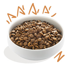 EDGARD & COOPER ADULT VERSE SCHARRELKIP GRAANVRIJ