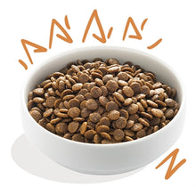EDGARD & COOPER ADULT VERSE SCHARRELKIP GRAANVRIJ