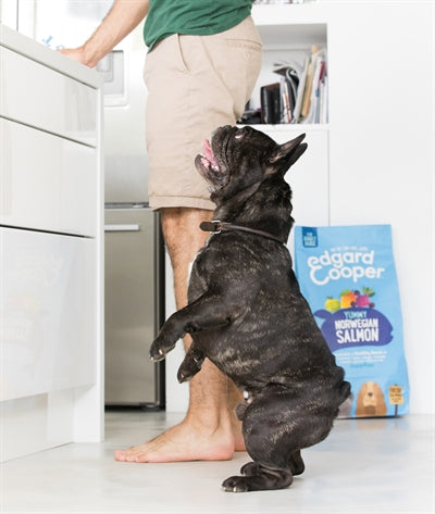 EDGARD & COOPER ADULT VERSE NOORSE ZALM GRAANVRIJ