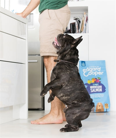 EDGARD & COOPER ADULT VERSE NOORSE ZALM GRAANVRIJ