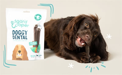 EDGARD & COOPER DENTAL STICKS APPEL / EUCALYPTUS